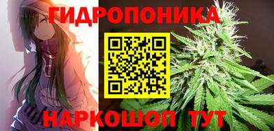 бошки Донецк