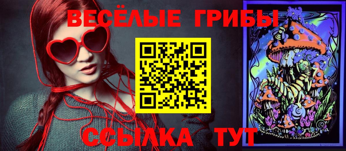 Ленинск-Кузнецкий  купить наркоту  Вход с VPN  Псилоцибиновые грибы GOLDEN TEACHER  Галлюциногенные грибы Psilocybine cubensis 