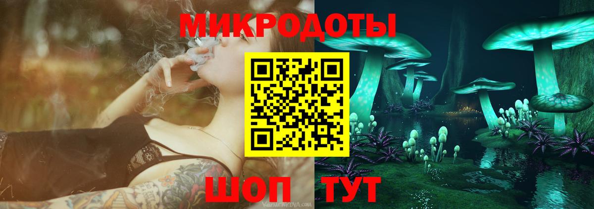 Псилоцибиновые грибы мицелий Ленинск-Кузнецкий